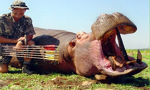 Bác sĩ khoe trên mạng “chiến tích” giết động vật hoang dã