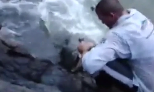 Thán phục chàng béo câu được cá khủng bên bờ suối