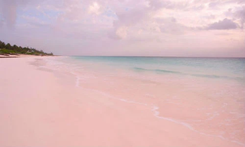 Những bãi biển kỳ lạ nhất hành tinh