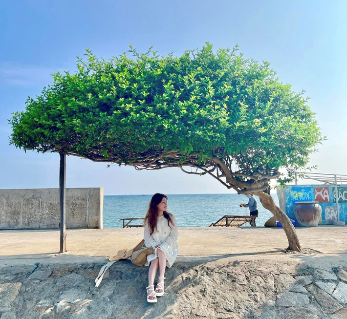 Cây cô đơn: "Cây cô đơn" là tên các du khách đặt cho cây được trồng trên bờ kè, hướng ra biển, trông lẻ loi trên đảo Phú Quý. Đây được coi là một trong những điểm đến hấp dẫn của đảo và thu hút rất nhiều giới trẻ đến chụp ảnh. Ảnh: Thu Trang.
