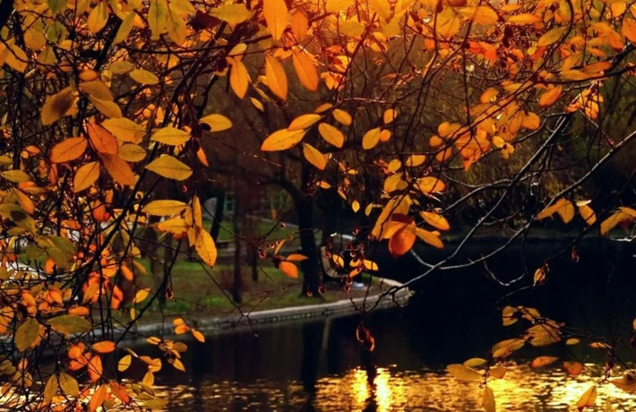 Đối với những con giáp này, mùa thu là mùa thu hoạch, đón nhiều điều tốt lành. Muốn sống dễ dàng cần phải điều chỉnh tâm lý rất nhiều, nắm bắt thời cơ ngay từ bây giờ. Những con giáp này sẽ hướng tới tương lai tươi sáng hơn. Công việc của họ không còn có những khó khăn trùng điệp, cuộc sống cũng không còn lo buồn khiến họ phải chịu đựng, vận may nối tiếp vận may.