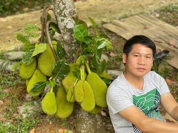 ừ năm thứ 2 ở Nhạc viện, ca sĩ Trọng Tấn đã bắt đầu đi hát. Ban đầu, anh biểu diễn ở các sân khấu nhỏ rồi đến với sân khấu Khúc hát trữ tình. Từ đó, anh bắt đầu được hát những bài hát chỉn chu, cả cổ điển lẫn Cách mạng. Nam ca sĩ chia sẻ, đây là "những năm tháng vui vô cùng" của anh. Sau khi tốt nghiệp, Trọng Tấn làm giảng viên tại khoa Thanh nhạc của trường và tiếp tục theo nghiệp ca sĩ. Đến năm 2013, anh quyết định nghỉ dạy để chuyên tâm vào công việc ca hát. Ngoài biểu diễn trên sân khấu, nam ca sĩ còn phát hành một số album như Một Chặng Đường, Rặng Trâm Bầu, Mong về Hà Nội, Tình Yêu Trên Dòng Sông Quan Họ...