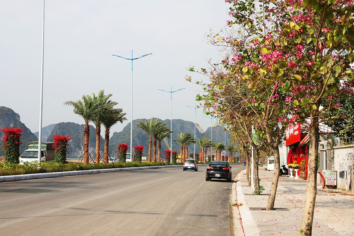 Đường vành đai Trần Quốc Nghiễn có chiều dài 4,7km bắt đầu tại khu dân cư Vinhome Hạ Long, đi qua cầu Bài Thơ và kết thúc tại điểm kết nối với đường vành đai ven biển Hạ Long - Cẩm Phả.