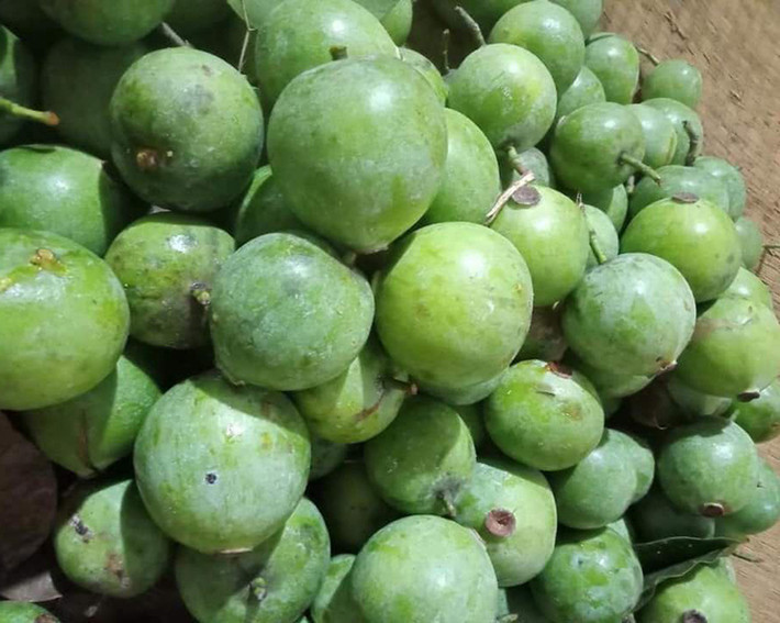 Đây là loại quả gia vị đặc trưng của miền Bắc nhưng ít người biết tới.