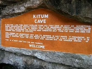 Viện Nghiên cứu Y học về Bệnh Truyền nhiễm củaquân độiHoa Kỳ (USAMRIID) đã phát động một cuộc thám hiểm vào hang Kitum sau sự cố những năm 1980. Tuy nhiên, họ đã gặp khó khăn trong việc xác định loài chịu trách nhiệm lây lan mầm bệnh chết người sang con người.