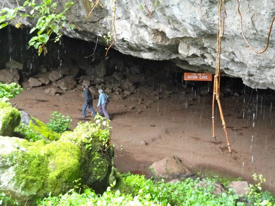 Các nhà khoa học hiện nhận ra rằng khoáng chất mặn có giá trị của hang động, khiến nó trở thành điểm đến không chỉ của voi mà còn cả trâu, linh dương, báo và linh cẩu miền Tây Kenya, đã biến Kitum thành nơi ươm mầm các bệnh lây truyền từ động vật sang người.