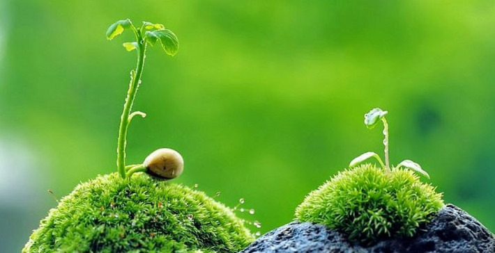 Người sinh thời điểm Âm lịch này cần tạo cho mình sự tự tin nhất định, mạnh dạn đột phá trong công việc và dám chấp nhận rủi ro. Bởi bước sang năm Nhâm Dần tới đây, họ sẽ có chỗ dựa vững chắc ở nơi làm việc, có người xung quanh giúp đỡ nên sự nghiệp ngày càng phát triển. Bắt đầu từ thời khắc giao thừa, người sinh ngày Âm lịch này sẽ đón Thần Tài ghé thăm, sự giàu có tất nhiên sẽ không mời mà đến.