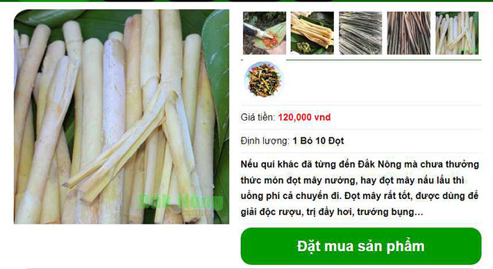 Trên các trang thương mại điện tử, đọt mây rừng được bán với giá 120.000 đồng/kg.