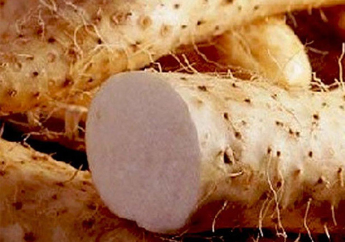 Củ mài trong Đông y là một vị thuốc có tên gọi hoài sơn. Ngoài ra, dân gian còn gọi loại cây này bằng những cái tên khác nhau như củ mài, chính hoài, củ lỗ…