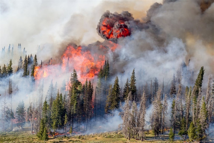 Vào giữa tháng 7/2016, 50 km2 rừng trong vườn quốc gia Wyoming's Shoshone ở Mỹ đã bị ngọn lửa thiêu rụi. Ngọn lửa bùng lên sau một tia sét và liên tục cháy âm ỉ trong hai tuần đầu tiên. Khi nhiệt độ và gió tăng lên, tốc độ lan truyền của đám cháy tăng lên nhanh chóng, vượt sự kiểm soát của con người.