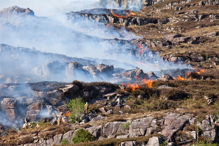 Thời tiết khô và ấm áp làm bùng phát ngọn lửa Torridon Hill ở Scotland. Nó đã tàn phá khoảng 23 km2 đất trước khi nó được 150 sĩ quan kiểm soát. Năm 2018, tại Tây Nguyên, số vụ cháy rừng xảy ra nhiều gấp 4 lần năm 2017 sau thời gian kéo dài hơn mà không có mưa và thời tiết nắng nóng bất thường.