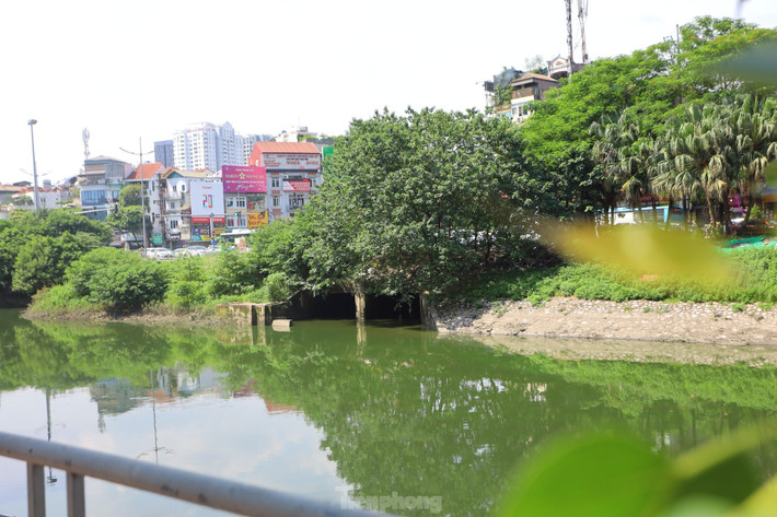 Từ 26/7, theo ghi nhận của phóng viên Tiền Phong, nước sông Tô Lịch dâng cao, có màu xanh lục, không còn hình ảnh dòng nước đen, hôi thối như thường thấy.