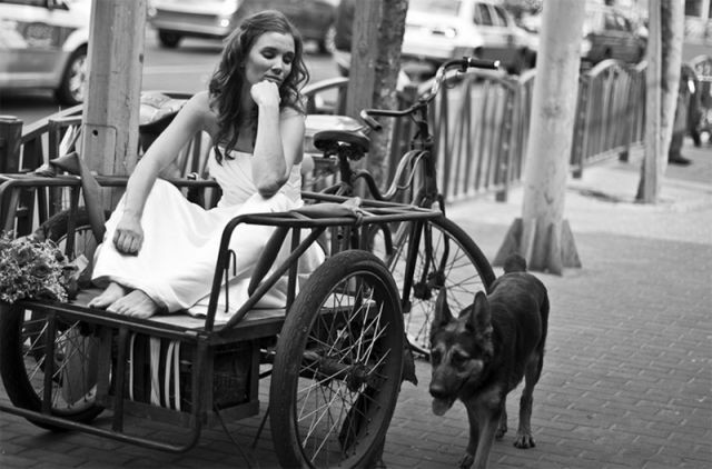 Người bạn đồng hành.