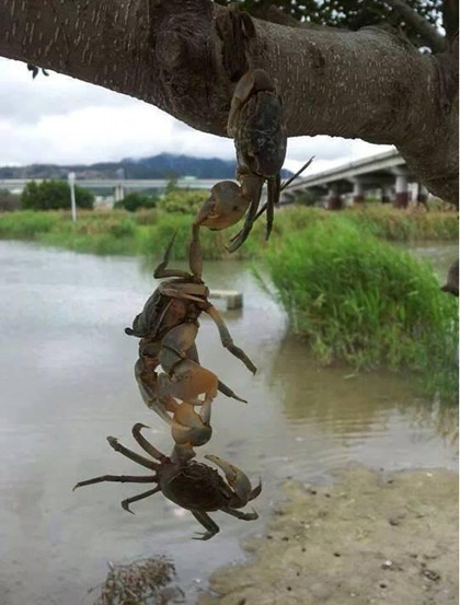 Bám chắc vào không ngã đó.
