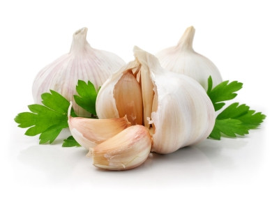 Người xưa đã sử dụng tỏi để xua đuổi ma cà rồng. Văn học dân gian cho rằng đó là do ma cà rồng có một ý thức cao về mùi và mùi của tỏi là áp đảo. Tỏi được chứng minh là có hiệu quả chống lại hai kẻ hút máu khác: muỗi và bọ ve.
