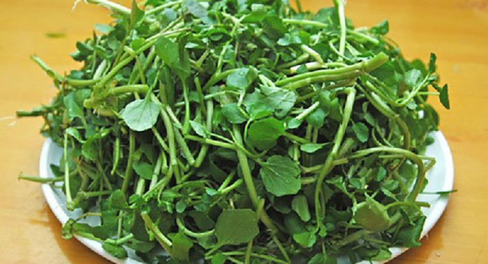 Trong khi đó, tìm mua rau liệt Gio An khi tới tay người tiêu dùng có thể lên tới cả 100.000 đồng/kg.
