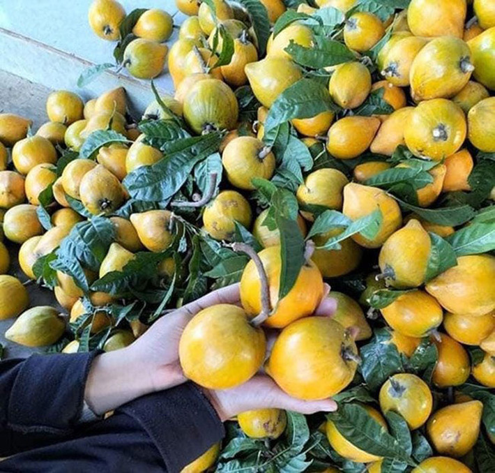 Quả trứng gà còn có tên gọi khác là Lêkima, khi chín trái có ruột vàng đẹp như lòng đỏ trứng gà nên nó được gọi là quả trứng gà