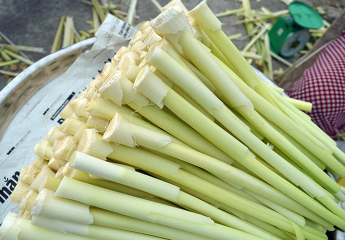 Mùa bồn bồn bắt đầu từ tháng 6 đến tháng 11 hàng năm