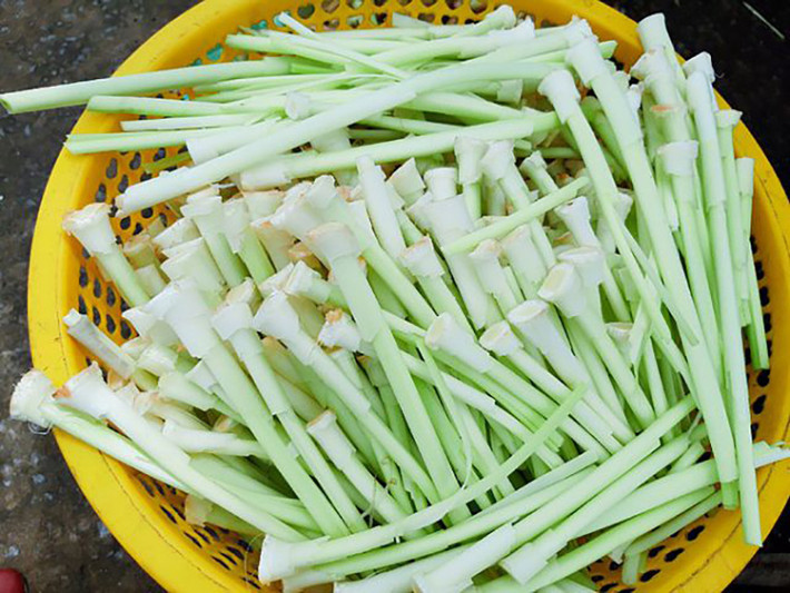 Dưa bồn bồn, bồn bồn nấu canh, bồn bồn nấu lẩu, bồn bồn làm gỏi.... là những món ăn đặc sản vào các nhà hàng hạng sang, được du khách và người thành phố ưa chuộng