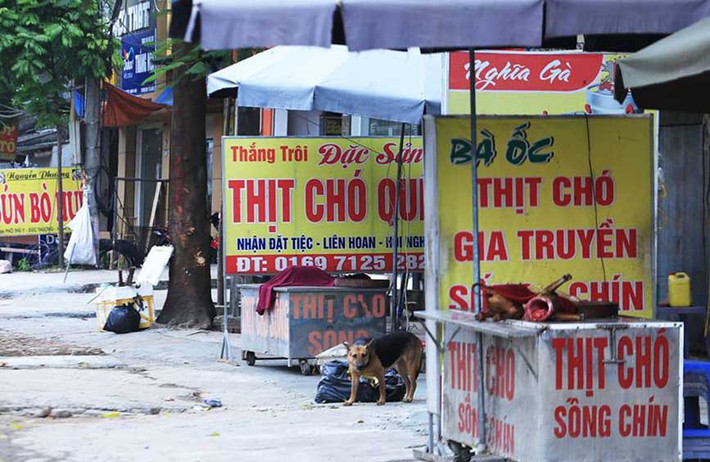 Theo anh Long, các đối tượng trộm chó thường là thành phần bất hảo, thậm chí là nghiện ngập, không công ăn việc làm. Việc trộm chó lại khá dễ dàng, chỉ cần các công cụ thô sơ, xe máy với 2 người là có thể thực hiện. Dù bị xã hội lên án, nhiều đối tượng bị bắt, xử lý hình sự nhưng vấn nạn này vẫn khó dẹp được triệt để. Sau 1 thời gian làm nghề bán thịt chó, anh Long cũng đã bỏ nghề vì thấy người dân cũng dần tẩy chay thịt chó và theo anh nói "nghề này nghiệp lắm".