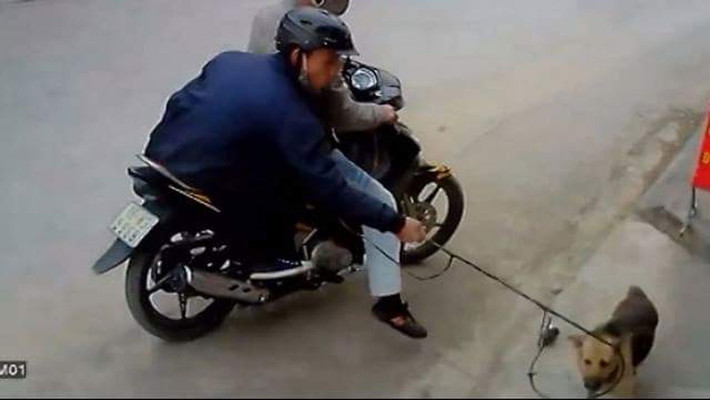 Anh Bùi Long (Đan Phượng, Hà Nội), một người trước đây làm nghề bán thịt chó cho biết, mức thu nhập 100 triệu đồng/ tháng của trộm chó như dư luận bàn tán là không thực tế. Bởi không phải ngày nào các đối tượng cũng trộm được 10 con chó và đi trộm đều cả 30 ngày/ tháng. Cách tính đó chỉ là dân mạng nói vui thôi. Tuy nhiên, có một thực tế là việc bán chó khá dễ dàng, đa phần người mua, lò mua hay hàng mua bán thịt chó không hỏi về nguồn gốc. Thậm chí, họ biết chó trộm nhưng vẫn mua vì giá thường rẻ hơn người dân bán. (Ảnh minh họa)