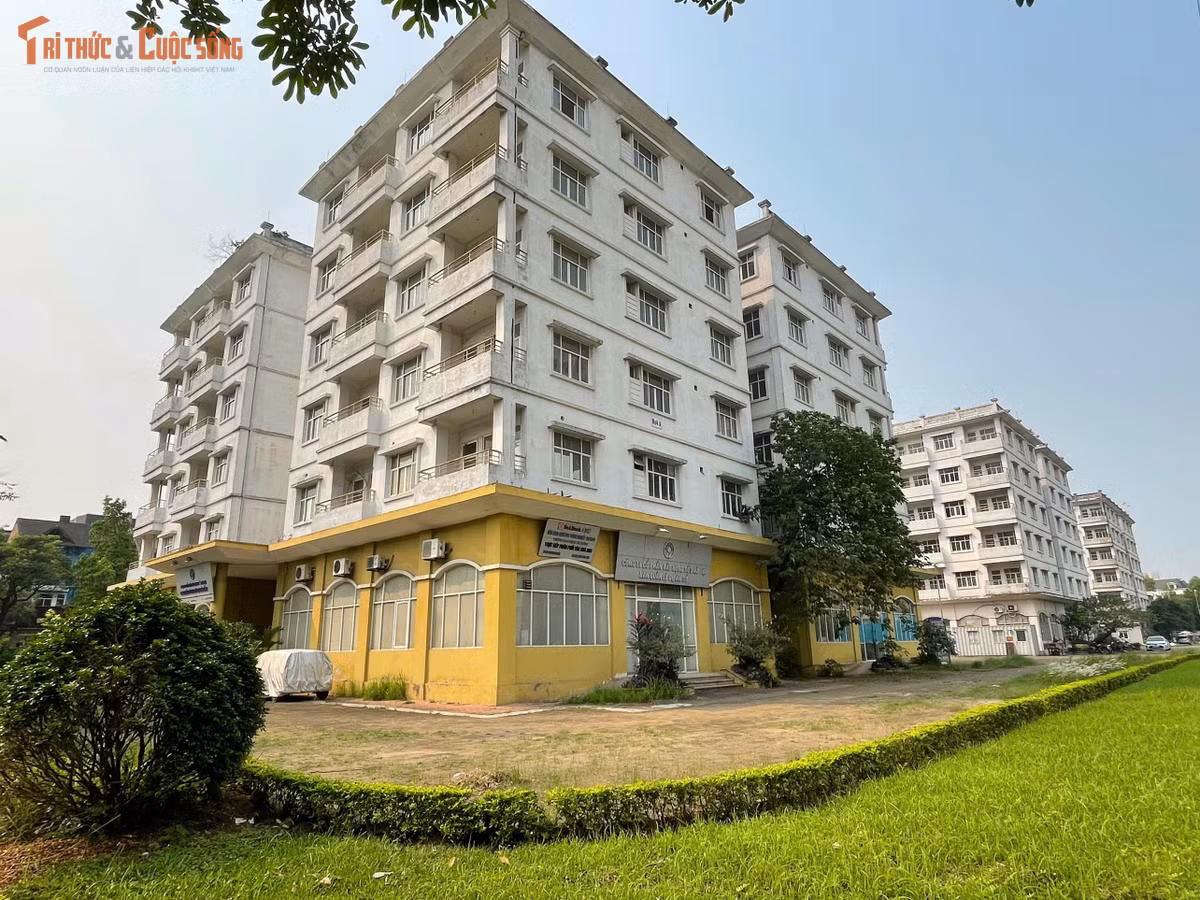 Ba tòa nhà tái định cư N03, N04 và N05 tại Khu đô thị Sài Đồng (phường Phúc Đồng, Hà Nội) được xây dựng trong giai đoạn 2001-2006 nhằm phục vụ tái định cư tại chỗ cho các hộ dân thuộc dự án mở rộng phố Sài Đồng. Tuy nhiên, đến nay công trình vẫn chưa được đưa vào khai thác.