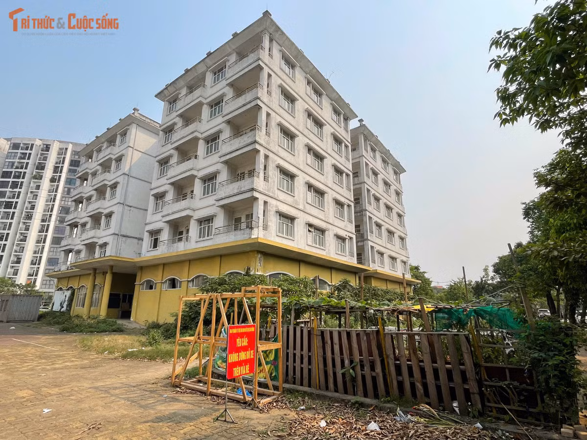 Phần đất xung quanh ba tòa nhà hiện được nhiều người dân tận dụng để trồng rau. Các luống rau được chia thành từng khoảnh nhỏ, phủ kín một phần diện tích vốn thuộc khuôn viên dự án.
