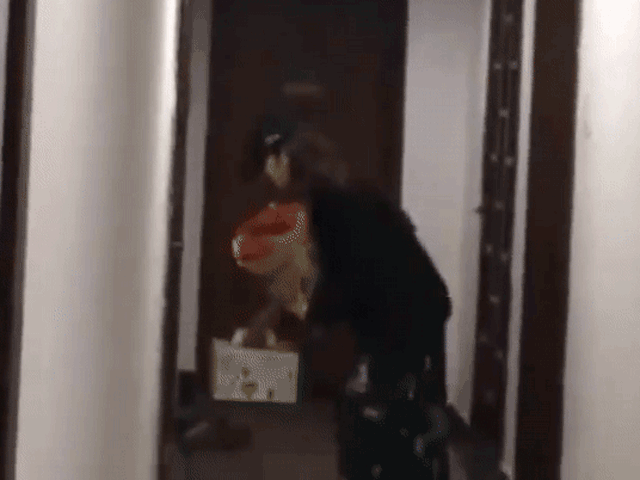 Người đẹp lặng lẽ đặt hoa và bánh trước cửa nhà của nam diễn viên lúc nửa đêm.