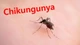 TP HCM: Cảnh báo nguy cơ tái xuất hiện bệnh Chikungunya