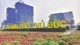 Cty Tấn Cường trong 03 ngày thắng 02 gói thầu tại Thủ Đức