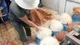 Đắk Lắk: 4 bị cáo trong đường dây sản xuất giá đỗ ngâm hóa chất lãnh án tù
