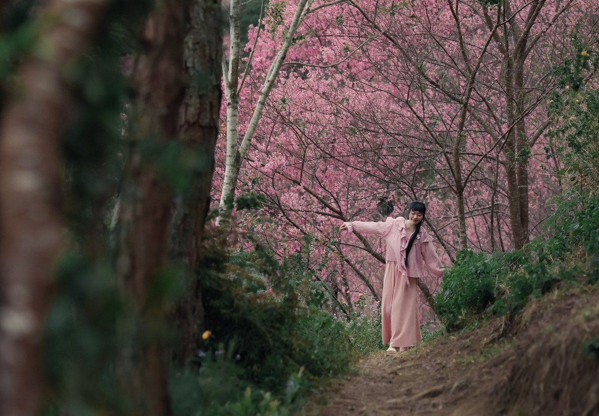 Trước lượng du khách đổ về ngày một đông mỗi mùa hoa, người dân và các hướng dẫn viên địa phương khuyến cáo du khách giữ gìn cảnh quan tự nhiên, không bẻ cành, rung cây để chụp ảnh hay xả rác trong rừng. Chính ý thức của mỗi người sẽ góp phần bảo vệ vẻ đẹp nguyên sơ của Mộng Đào Nguyên, để nơi đây tiếp tục là điểm hẹn mùa xuân đặc biệt của Đà Lạt, nơi sắc hồng mai anh đào khoe sắc giữa đại ngàn Lang Biang, níu chân du khách trong những ngày đầu năm mới. Ảnh Rau Câu