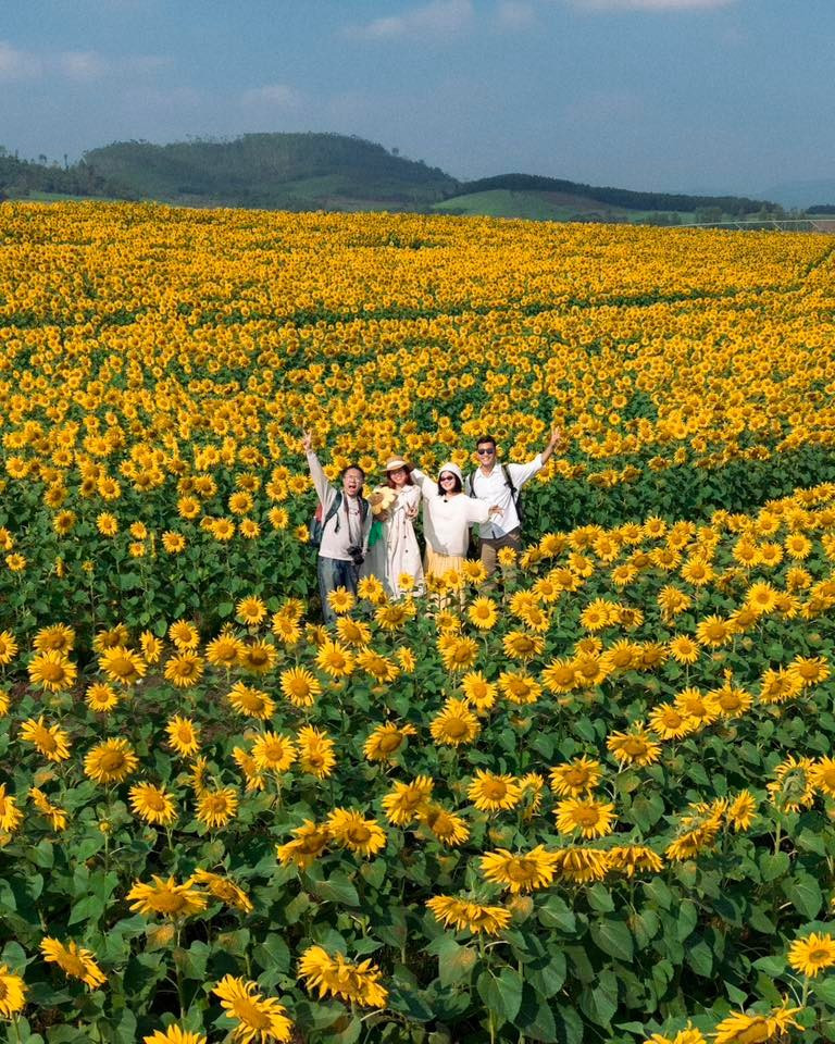 Để có những bức hình “vi diệu”, du khách nên chú ý tới góc chụp. Nhiều người thường tụ tập ở các điểm check-in quen thuộc như cánh cửa, bậc thang hay xích đu. Tuy nhiên, cánh đồng hoa rộng lớn còn rất nhiều vị trí đẹp để khám phá. Những hàng hoa thấp, dày, đi sâu vào bên trong thường cho bức ảnh ấn tượng hơn so với những hàng đầu ít hoa và cao. Ảnh Blog của Rọt