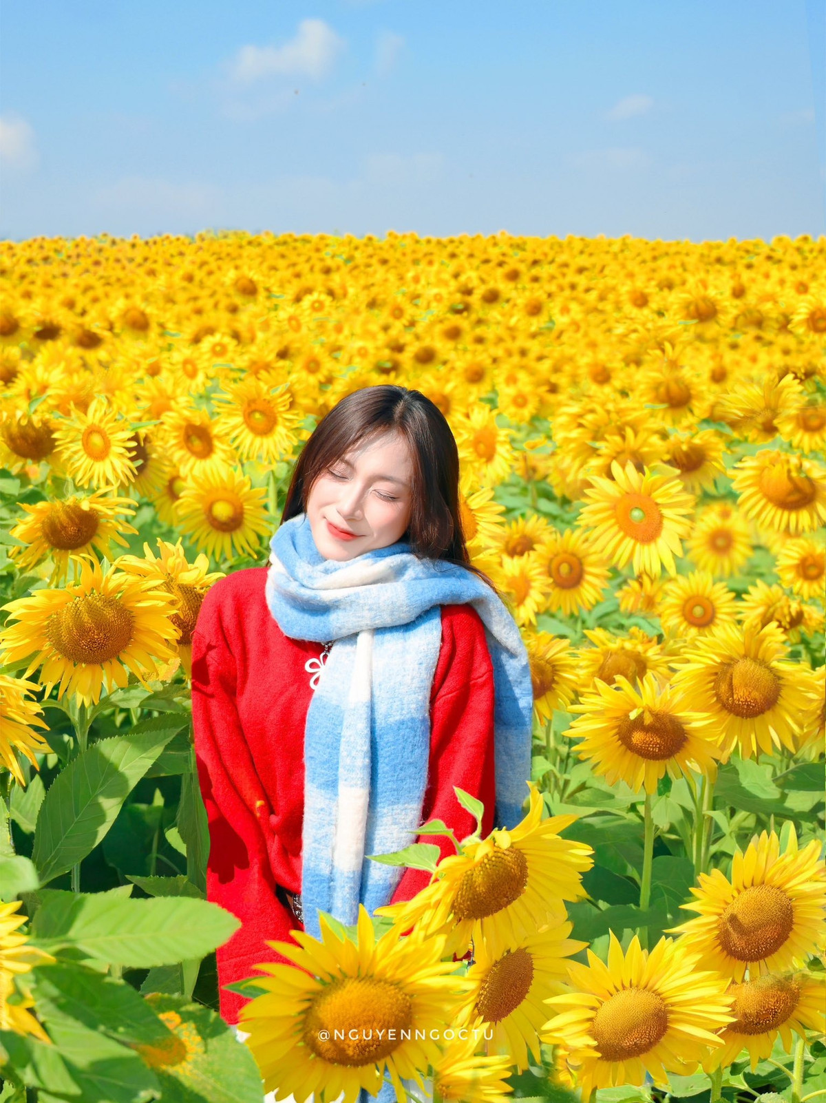 Một số du khách còn chia sẻ, chụp từ trên cao với flycam sẽ mang đến những bức ảnh độc đáo và đa dạng hơn so với góc nhìn từ dưới. Nếu không có flycam, bạn có thể thuê thợ chụp chuyên nghiệp để lưu giữ trọn vẹn vẻ đẹp cánh đồng. Những góc nhìn từ trên cao giúp bao quát toàn cảnh, nhấn mạnh biển hoa rộng lớn và cảm giác “mê hoặc” mà cánh đồng mang lại. Ảnh Nguyễn Ngọc Tú