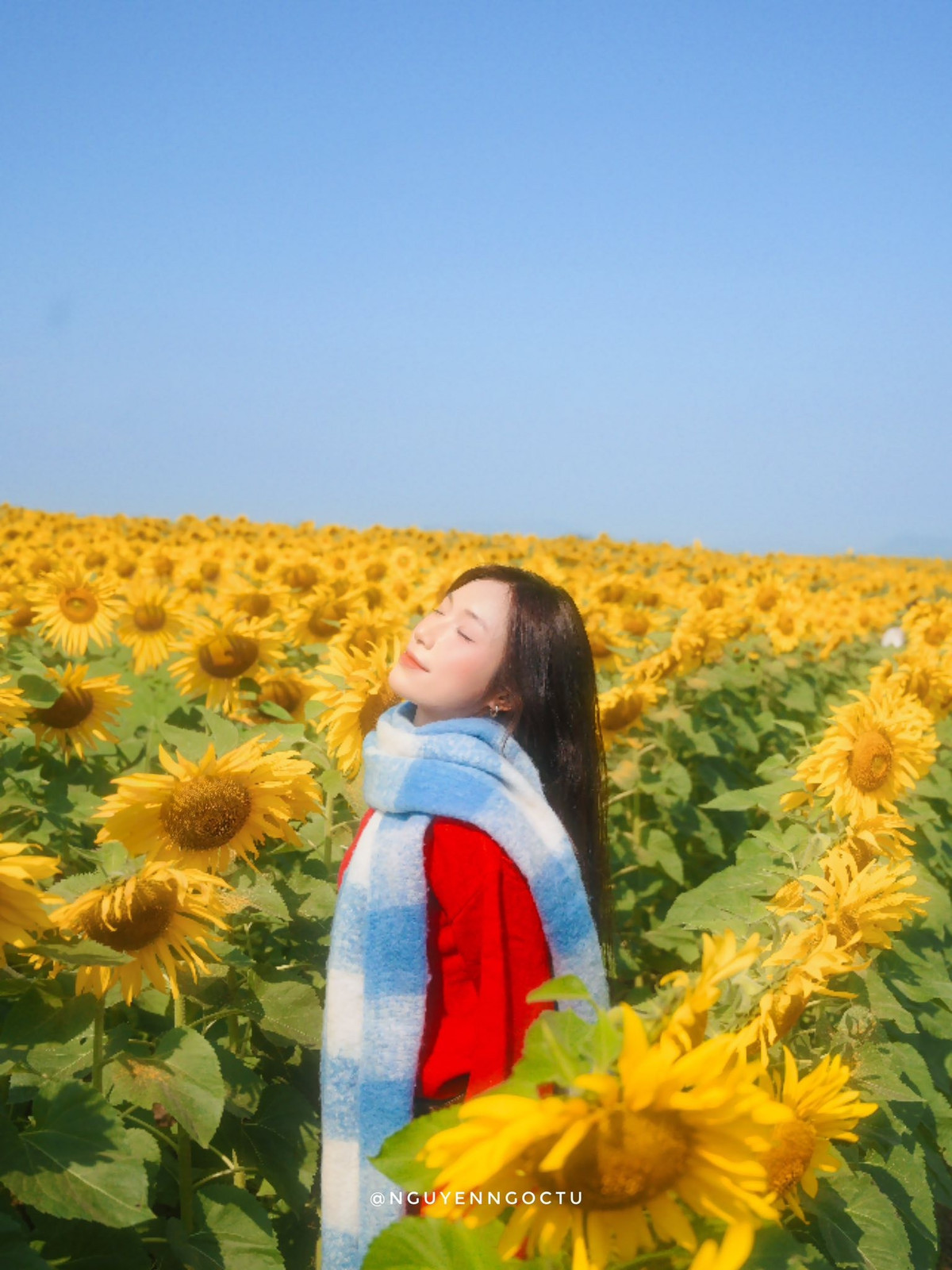 Với những lưu ý trên, chuyến đi đến cánh đồng hoa hướng dương Nghệ An không chỉ là dịp chiêm ngưỡng sắc vàng rực rỡ mà còn là cơ hội tạo ra những bức ảnh check-in để đời. Dù đi một mình, theo nhóm hay cùng gia đình, nơi đây hứa hẹn mang đến trải nghiệm mùa đông vừa thư giãn vừa đầy cảm hứng sáng tạo. Ảnh Nguyễn Ngọc Tú