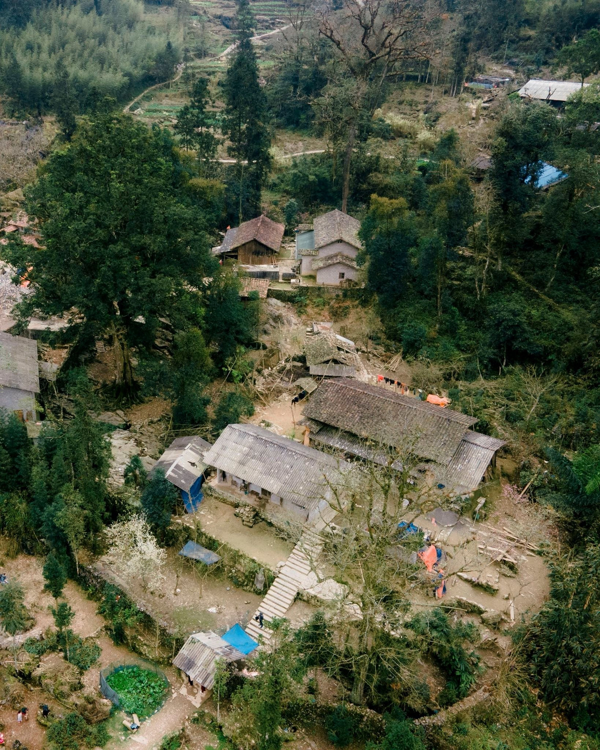 Theo tiếng H’Mông, Sảo Há có nghĩa là “thung lũng trên cao”. Ngôi làng nằm ở độ cao hơn 1.500m so với mực nước biển, nép mình giữa khu rừng nguyên sinh Vần Chải, với quy mô chỉ khoảng 22 hộ dân sinh sống. Nhờ vị trí biệt lập, được bao bọc bởi rừng già và núi đá, Sảo Há gần như vẫn giữ nguyên dáng vẻ ban sơ, ít chịu tác động của du lịch đại trà.