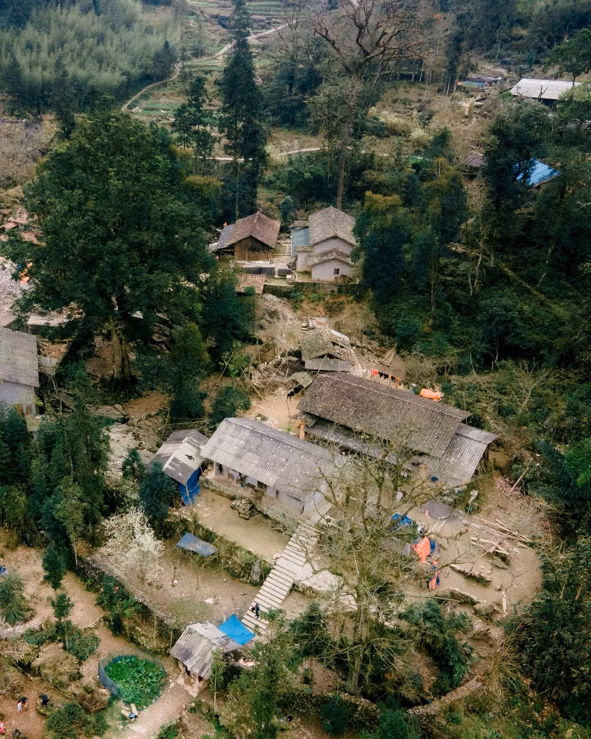 Theo tiếng H’Mông, Sảo Há có nghĩa là “thung lũng trên cao”. Ngôi làng nằm ở độ cao hơn 1.500m so với mực nước biển, nép mình giữa khu rừng nguyên sinh Vần Chải, với quy mô chỉ khoảng 22 hộ dân sinh sống. Nhờ vị trí biệt lập, được bao bọc bởi rừng già và núi đá, Sảo Há gần như vẫn giữ nguyên dáng vẻ ban sơ, ít chịu tác động của du lịch đại trà.