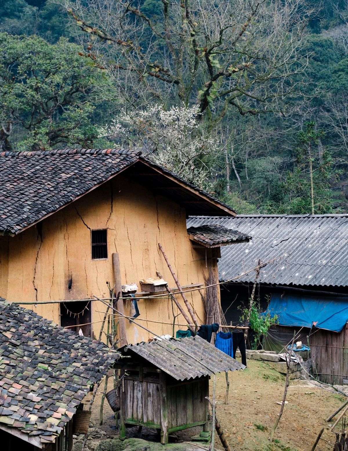 Toàn bộ làng có hơn 20 ngôi nhà trình tường của người H’Mông, lợp mái ngói âm dương, nằm rải rác thành từng cụm nhỏ. Bao quanh mỗi nếp nhà là hàng rào đá cao khoảng 1,5m, xếp thủ công, chắc chắn và bền bỉ theo thời gian. Sự kết hợp giữa đá, đất, rừng già và sương mù tạo nên một bức tranh vừa hoang sơ vừa ma mị, hiếm thấy ở các điểm du lịch miền núi hiện nay.