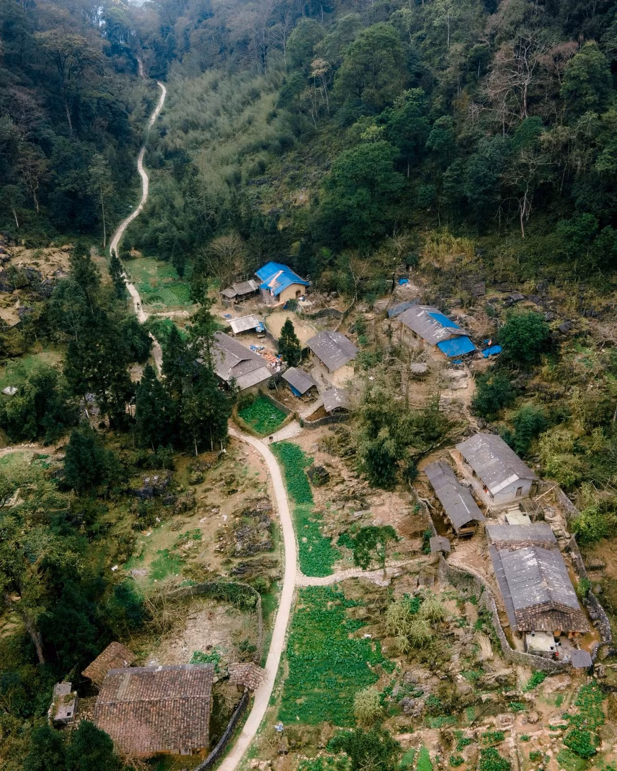 Ấn tượng đầu tiên khi đặt chân tới Sảo Há là không gian tĩnh mịch gần như tuyệt đối. Cả bản làng được bao quanh bởi rừng cây cổ thụ rậm rạp, ánh sáng mặt trời khó xuyên qua tán lá dày, tạo nên cảm giác âm u, trầm mặc.Trong sương mù bảng lảng, những ngôi nhà trình tường vách đất hiện lên lặng lẽ, phủ đầy rêu phong, gợi liên tưởng tới một miền ký ức xa xưa.