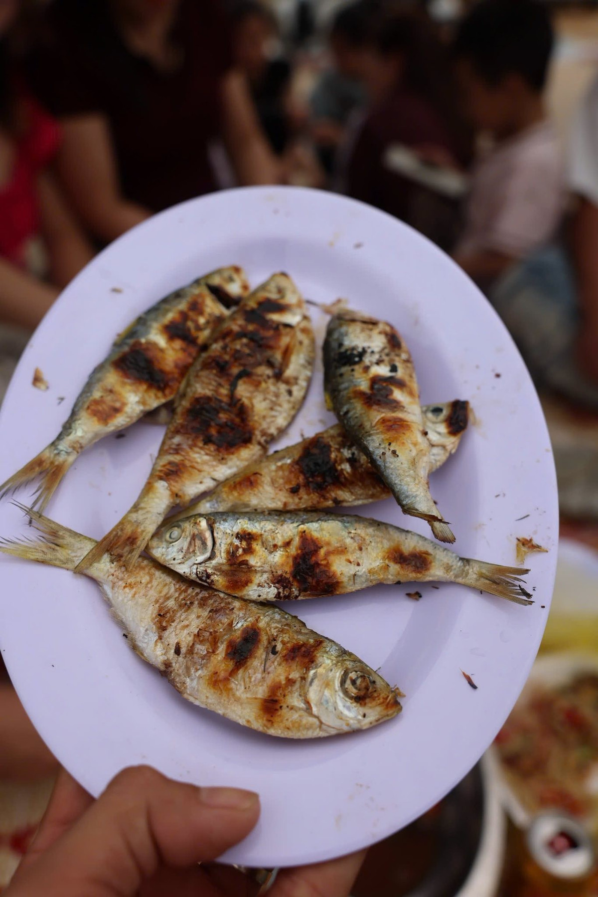 Dù thu hút đông khách, cá trích nướng vẫn giữ mức giá bình dân, dao động khoảng 50.000–60.000 đồng/kg. Với chi phí không cao, thực khách có thể thưởng thức một bữa ăn đậm chất miền biển ngay tại chỗ. Ảnh: Việt Phong