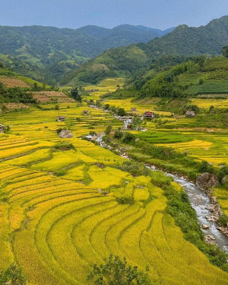 Đặc biệt, nhiều bạn trẻ còn chọn Nậm Cang làm điểm cắm trại, săn ảnh bình minh giữa lúa vàng, hay ghi lại khoảnh khắc hoàng hôn buông xuống thung lũng – những trải nghiệm mang đậm chất “chữa lành” cho tâm hồn. Ảnh Đỗ Vân Anh