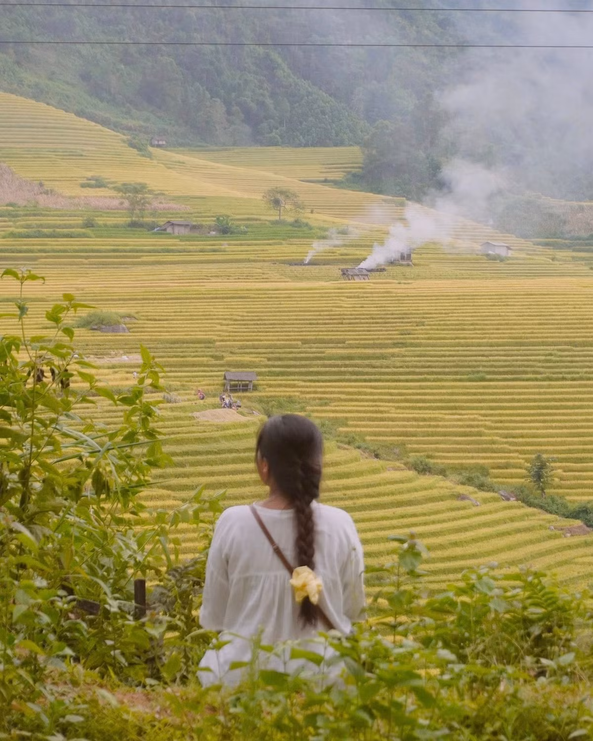 Đáp ứng nhu cầu khám phá những vùng đất yên bình, nhiều công ty lữ hành đã mở tour riêng đến Nậm Cang mùa lúa chín. Vietmountain Travel triển khai tour 2N1Đ kết hợp Nậm Cang – Y Tý dành cho nhóm nhỏ, di chuyển bằng xe giường nằm từ Hà Nội, lưu trú homestay và có hướng dẫn viên bản địa. Ảnh Đỗ Vân Anh