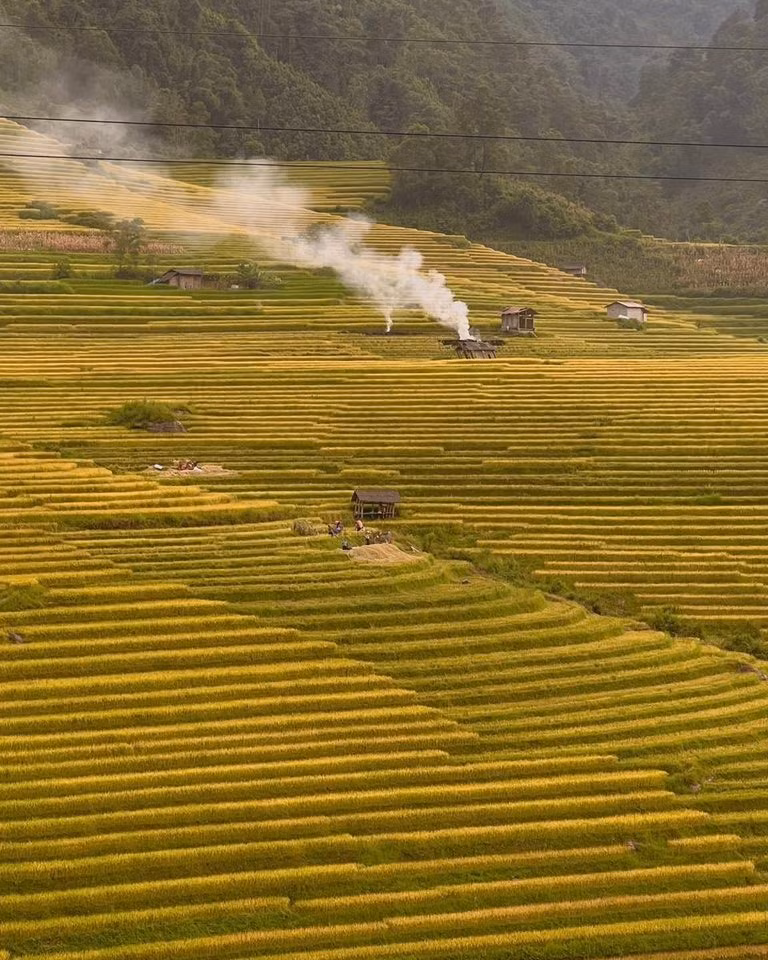 Trekkingsapa tổ chức tour trekking 3N2Đ qua Nậm Cang – Nậm Sài – Tả Van, phù hợp với du khách yêu vận động và thiên nhiên. Ngoài ra, Chudu24, Klook Việt Nam cũng cung cấp combo nghỉ dưỡng tại homestay trong bản, kèm xe đưa đón và trải nghiệm ẩm thực, văn hóa địa phương. Ảnh Đỗ Vân Anh