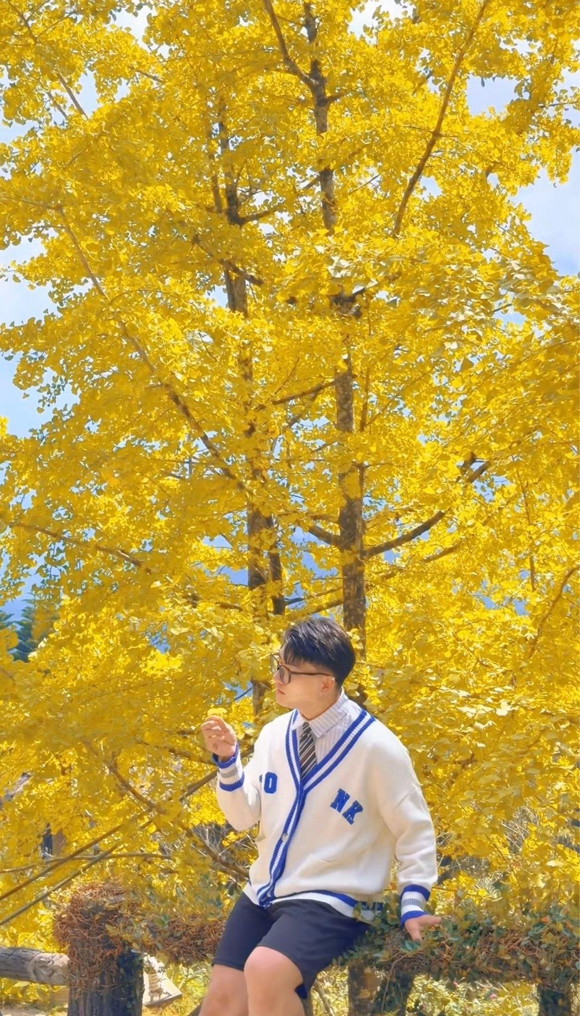 Nhiều du khách chia sẻ rằng họ thích cảm giác đi dạo dưới thảm lá rụng dày, vừa yên bình vừa mang màu sắc điện ảnh. Khung cảnh vàng ươm, kết hợp sương nhẹ buổi sáng sớm, là yếu tố khiến các tay máy, travel blogger và giới trẻ mê chụp ảnh kéo đến khá đông. Ảnh CuongManh Dao