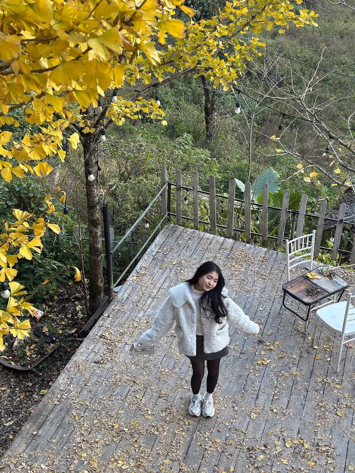 Thời điểm lý tưởng thường là từ 7h đến 10h sáng, khi sương còn vương trên tán lá, hoặc từ 15h đến 16h, khi ánh vàng cuối ngày giúp bức ảnh có chiều sâu hơn. Ảnh Nguyễn Trí Trung