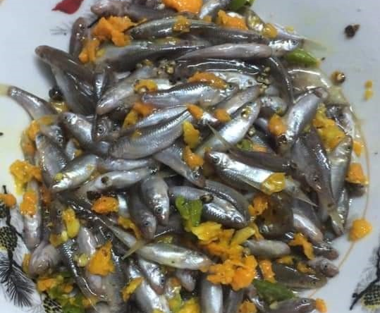 Khoảng thời gian cá rầm xuất hiện thường khá ngắn. Vì vậy, mỗi khi vào mùa, người dân lại tranh thủ đi bắt cá bằng nhiều cách, phổ biến nhất là “kéo tủ” đặt dụng cụ chắn ngang dòng nước để chặn đàn cá bơi qua. Ảnh Báo Quảng Nam