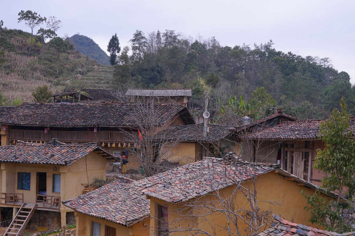 Những ngôi nhà trình tường đất dày, mát về mùa hè, ấm vào mùa đông, mái lợp ngói âm dương phủ rêu phong theo thời gian, tạo nên diện mạo cổ kính, đậm chất vùng cao. Buổi chiều, khói bếp bảng lảng bay lên từ các mái nhà càng khiến khung cảnh bản làng thêm phần bình yên. Ảnh Phương Đặng