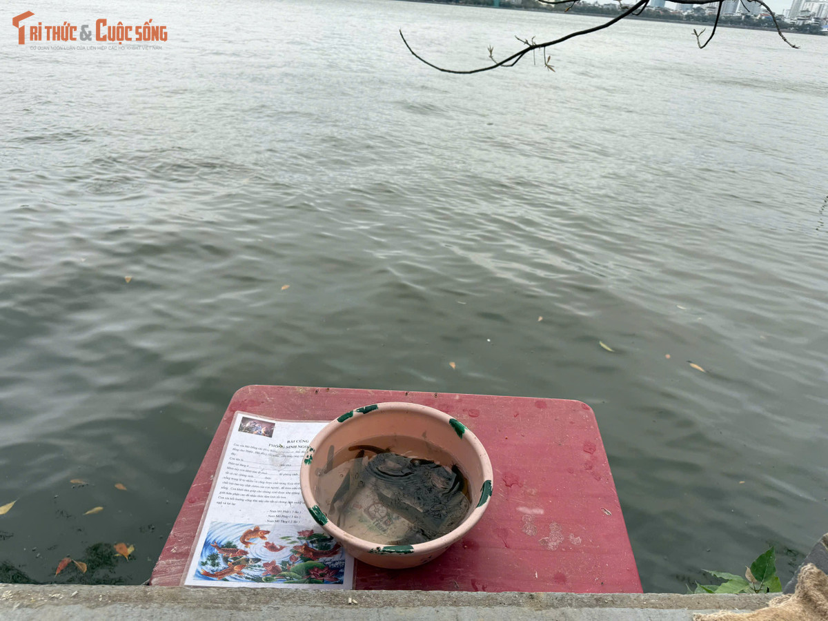 Sau khi dâng hương, không ít người chọn mua cá, ốc để phóng sinh xuống hồ Tây, với niềm tin tích thêm thiện lành cho bản thân và gia đình. Theo một số người bán hàng, giá các loại lươn, cá chạch, cá trê trong ngày Rằm không biến động nhiều so với ngày thường, dao động từ 80.000 đến 220.000 đồng/kg tùy loại.