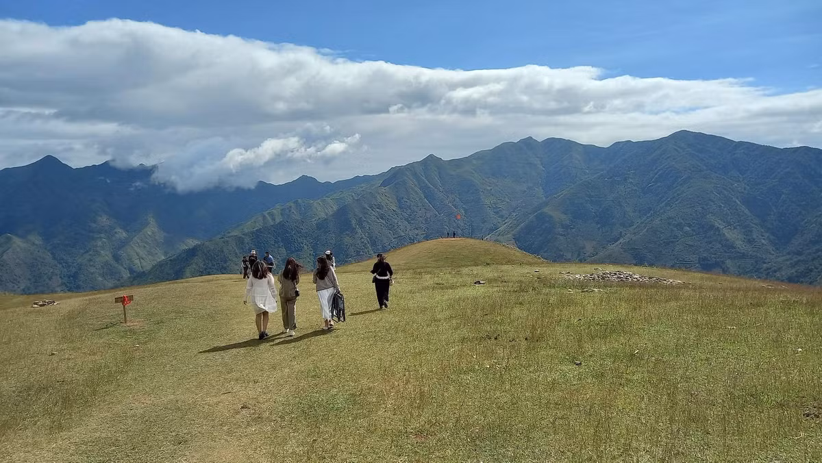 Buổi chiều là thời điểm lý tưởng để tham quan cây cô đơn và thảo nguyên Tà Xùa – hai điểm cách trung tâm khoảng 15–17 km, nổi bật với cảnh sắc núi đồi hùng vĩ và những con đường đèo ôm theo triền núi.