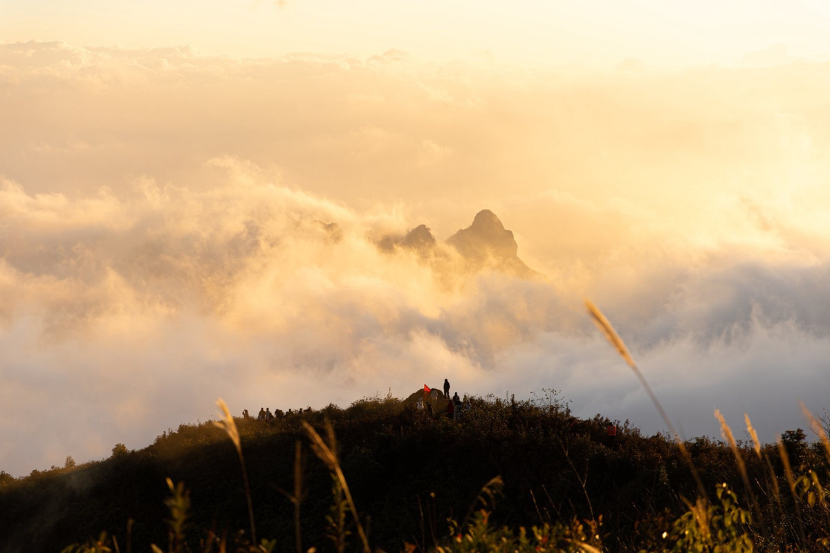 Hành trình bắt đầu từ Sa Pa hoặc Lào Cai, di chuyển đến thị trấn Mường Hum, sau đó tiếp tục thêm 6 km theo hướng Y Tý để đến điểm ngã ba rẽ vào bản Ky Quan San (Sàng Ma Sáo). Đoạn đường từ DT 158 lên bản khá xấu, gồ ghề, dốc và đá lởm chởm, vì vậy những du khách không tự tin có thể thuê porter chở xe ôm hoặc đi bộ khoảng 7 km để đảm bảo an toàn.